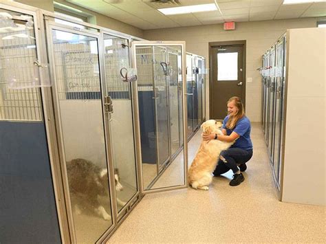 Indianola vet clinic - Kindness Pet Clinic is a full-service animal hospital specializing in providing compassionate veterinary care for pets of all shapes and sizes. Located just 12 minutes south of Des …
